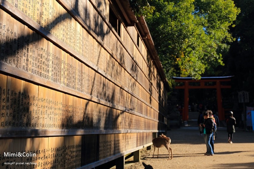 奈良東大寺-39.jpg
