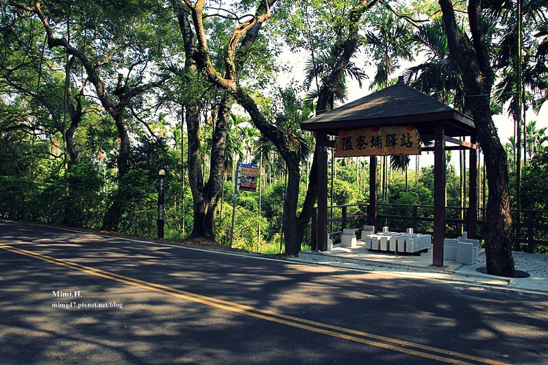 集集綠色隧道13.JPG