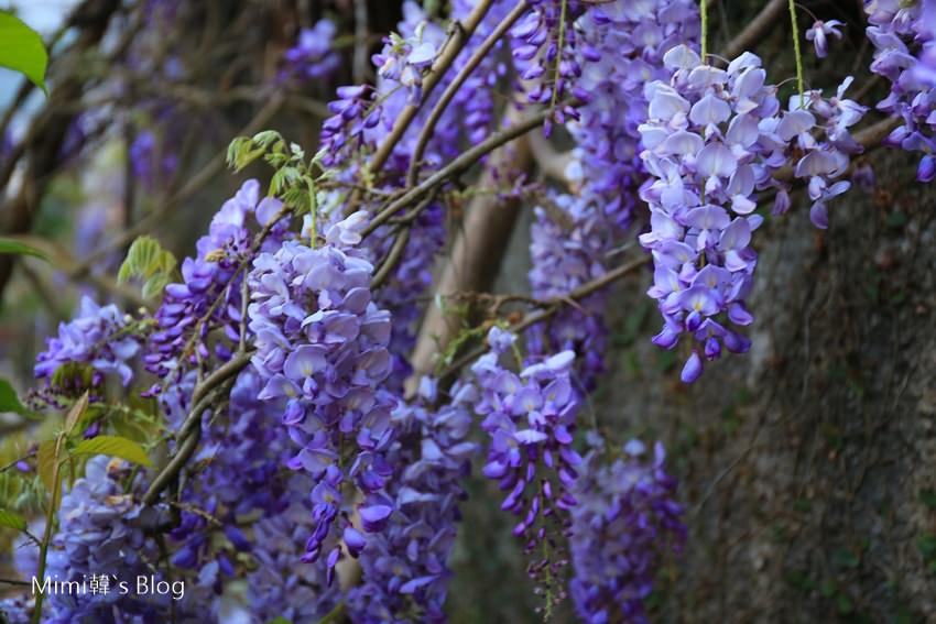 IMG_7478-22.jpg IMG_7478-22.jpg