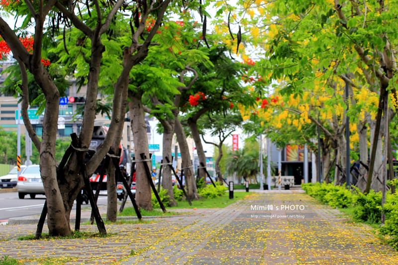 IMG_4854.JPG IMG_4854.JPG