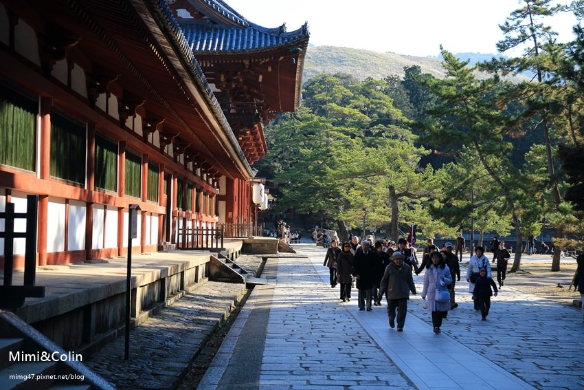 奈良東大寺-20.jpg