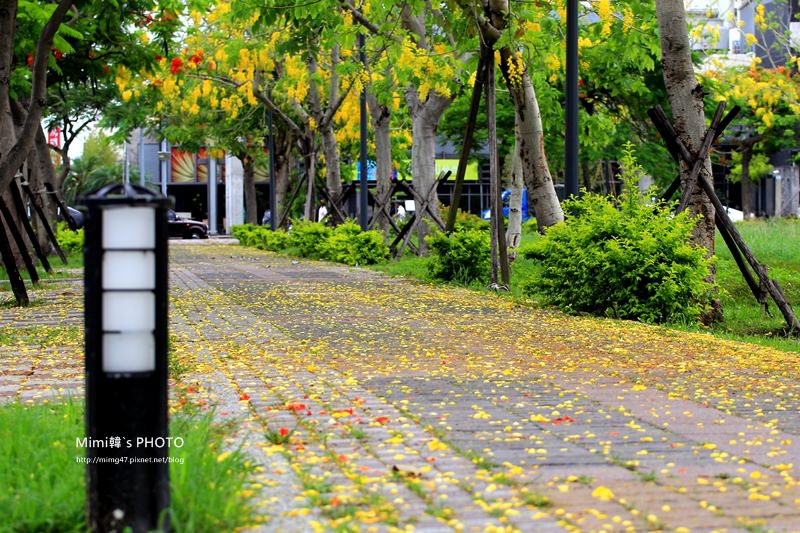 IMG_4858.JPG IMG_4858.JPG