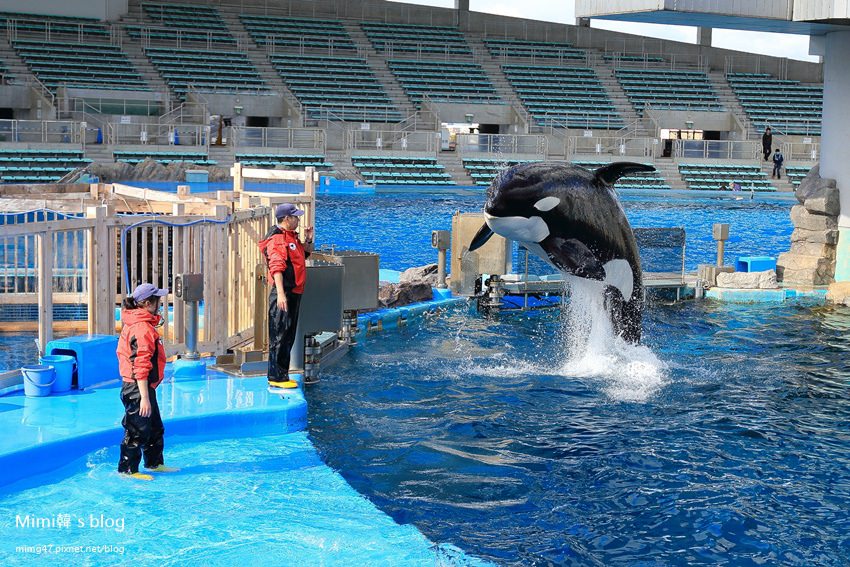 名古屋水族館-32.jpg