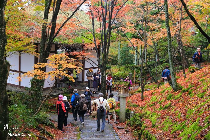 常寂光寺%26;天龍寺-26.jpg