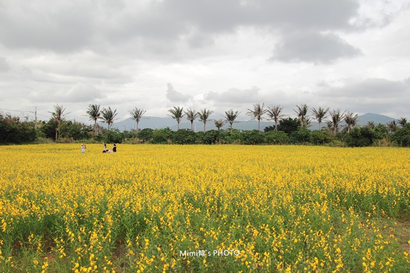 IMG_4107.JPG IMG_4107.JPG