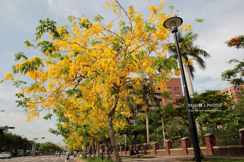 IMG_5068.JPG IMG_5068.JPG