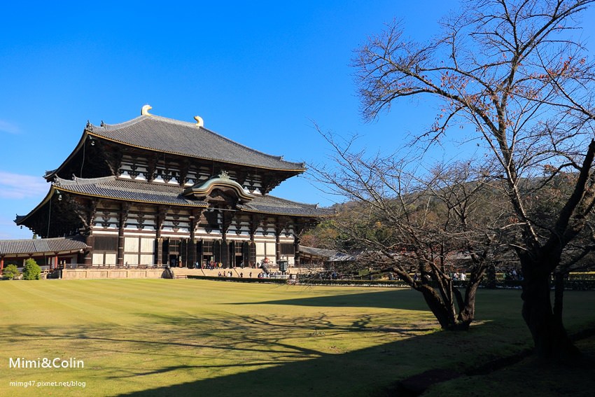 奈良東大寺-22.jpg
