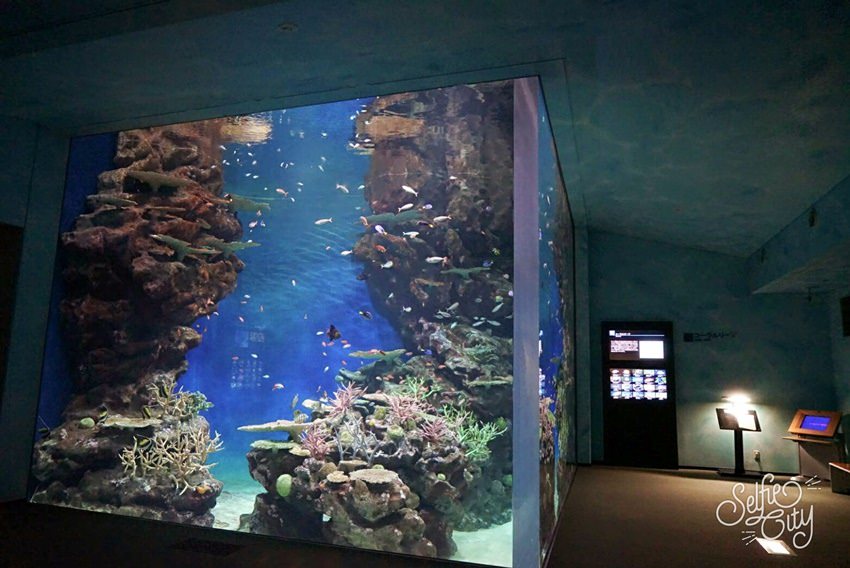 SelfieCity_20170311203650_org.jpg SelfieCity_20170311203650_org.jpg