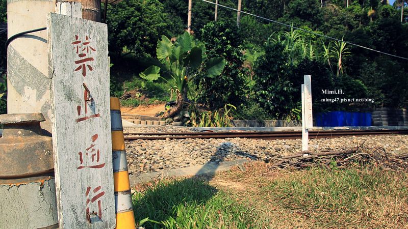 集集綠色隧道20.JPG