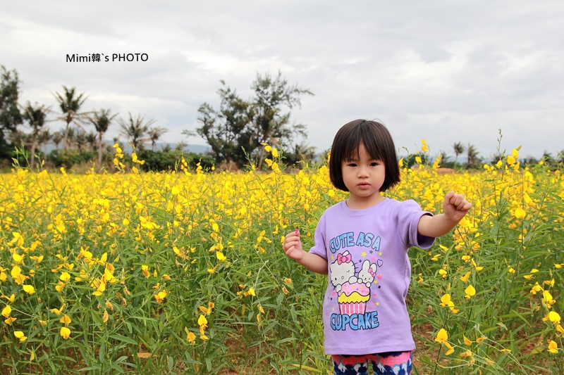 IMG_4113.JPG IMG_4113.JPG