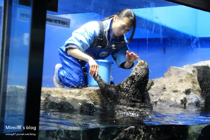 池袋太陽城水族館-31.jpg