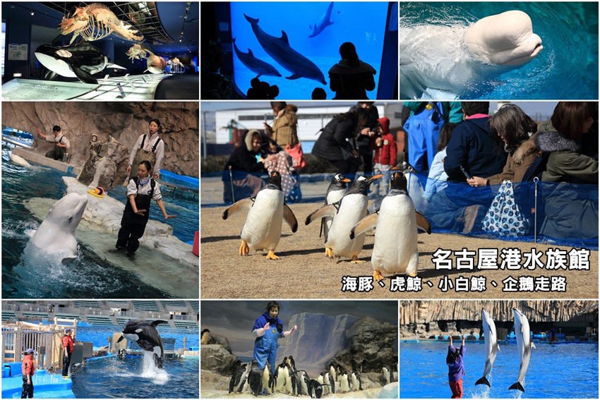 水族館.jpg