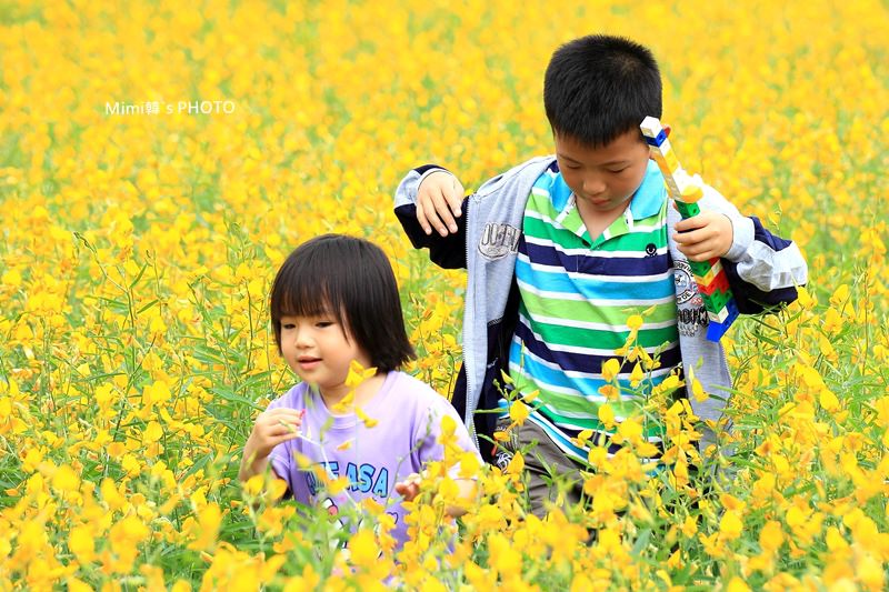 IMG_4119.JPG IMG_4119.JPG