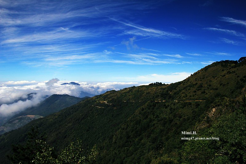合歡山7.JPG