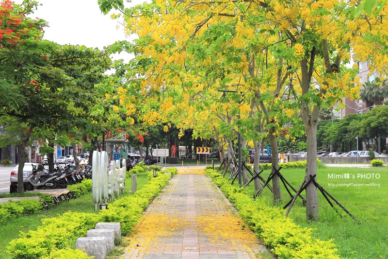 IMG_4842.JPG IMG_4842.JPG