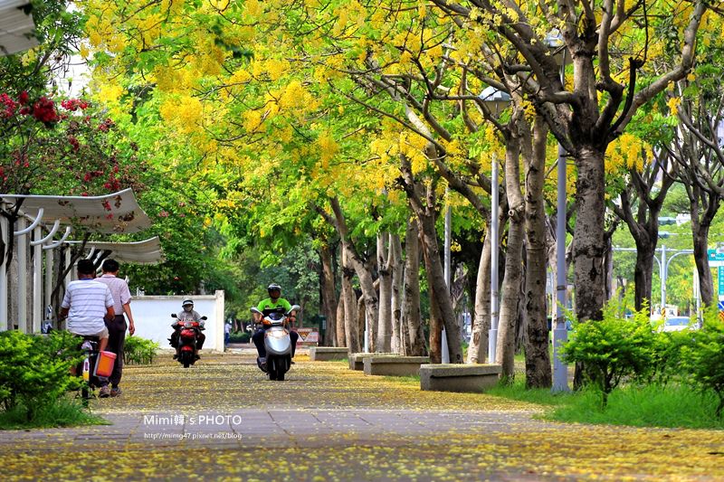 IMG_5081.JPG IMG_5081.JPG