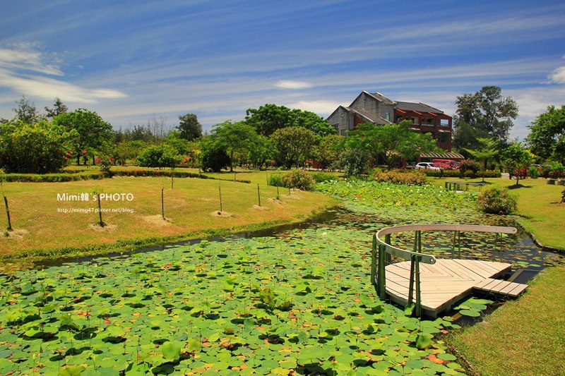 台東森林公園28.JPG