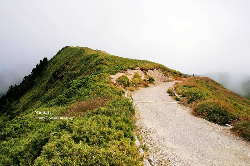 合歡山26.JPG