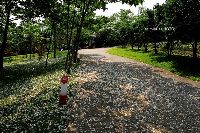 客家大院14.JPG