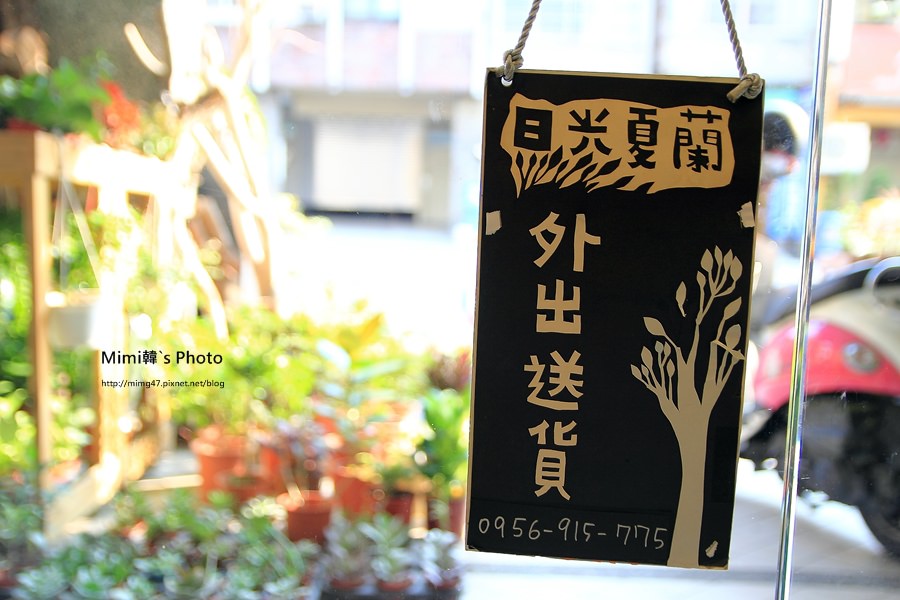 日光夏蘭2.JPG