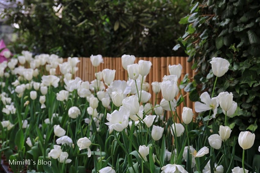 IMG_7579-59.jpg IMG_7579-59.jpg