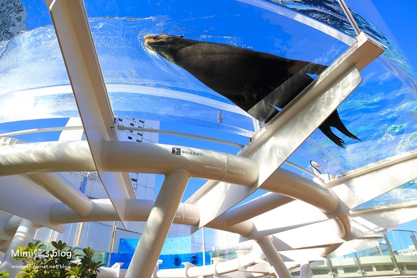 池袋太陽城水族館-15.jpg