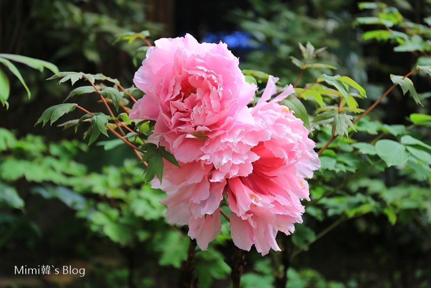 IMG_7567-56.jpg IMG_7567-56.jpg