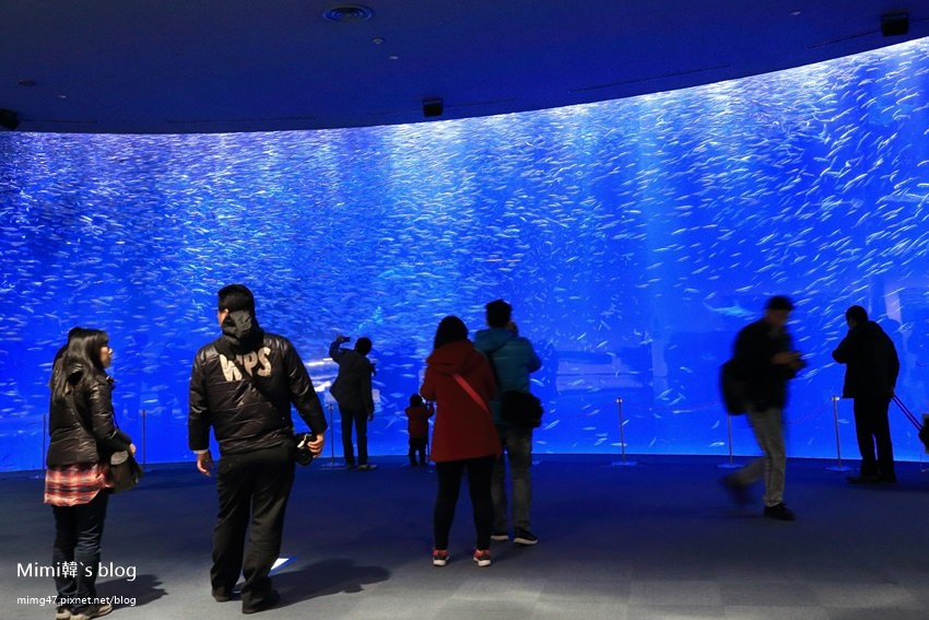 名古屋水族館-37.jpg