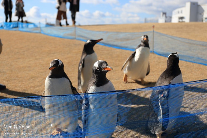 名古屋水族館-29.jpg