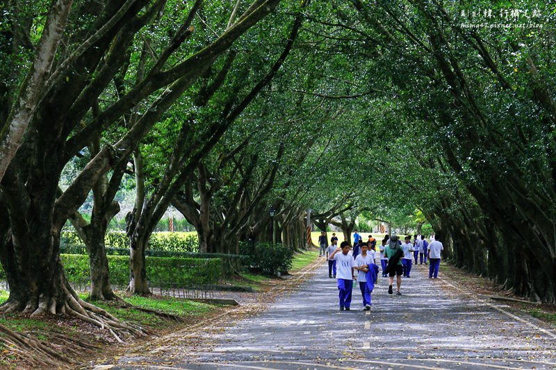 三育基督學院23.JPG