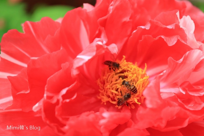 IMG_7586-62.jpg IMG_7586-62.jpg