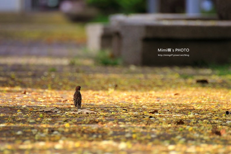 IMG_5088.JPG IMG_5088.JPG