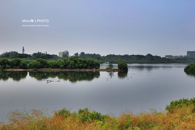 IMG_8521.JPG IMG_8521.JPG