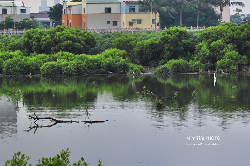 IMG_8526.JPG IMG_8526.JPG