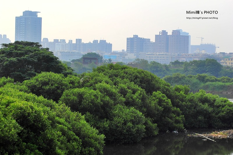 IMG_8556.JPG IMG_8556.JPG