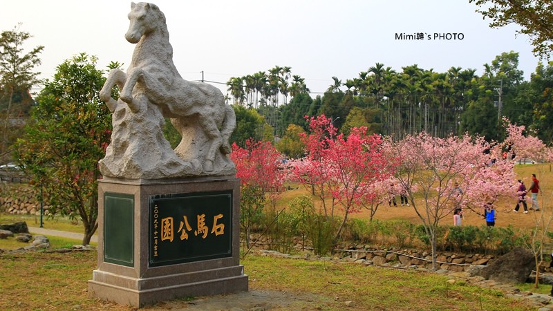 小半天櫻花2.JPG