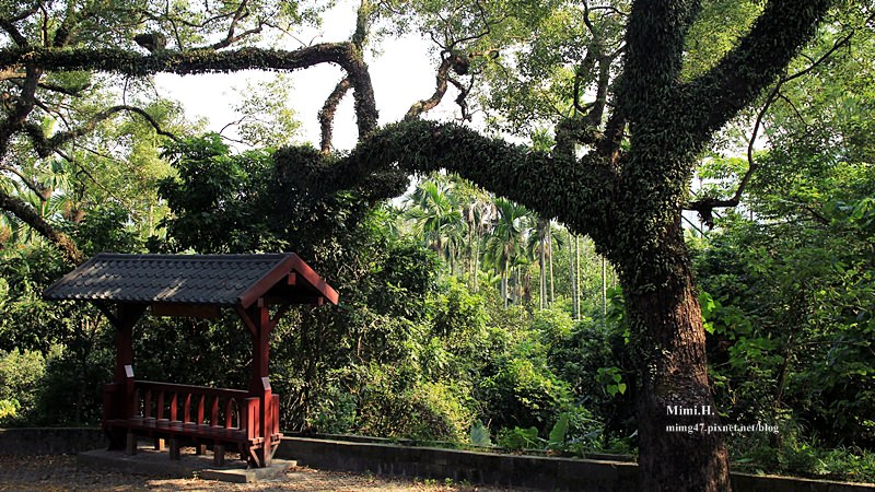 集集綠色隧道12.JPG