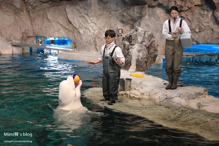 名古屋水族館-17.jpg