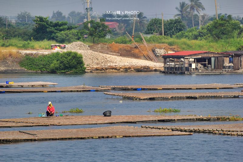 IMG_8549.JPG IMG_8549.JPG