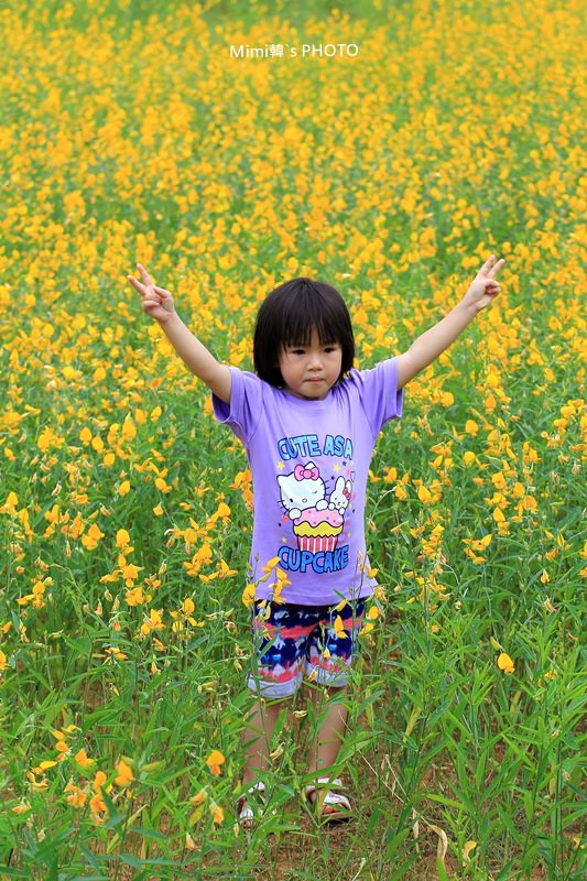 IMG_4141.JPG IMG_4141.JPG