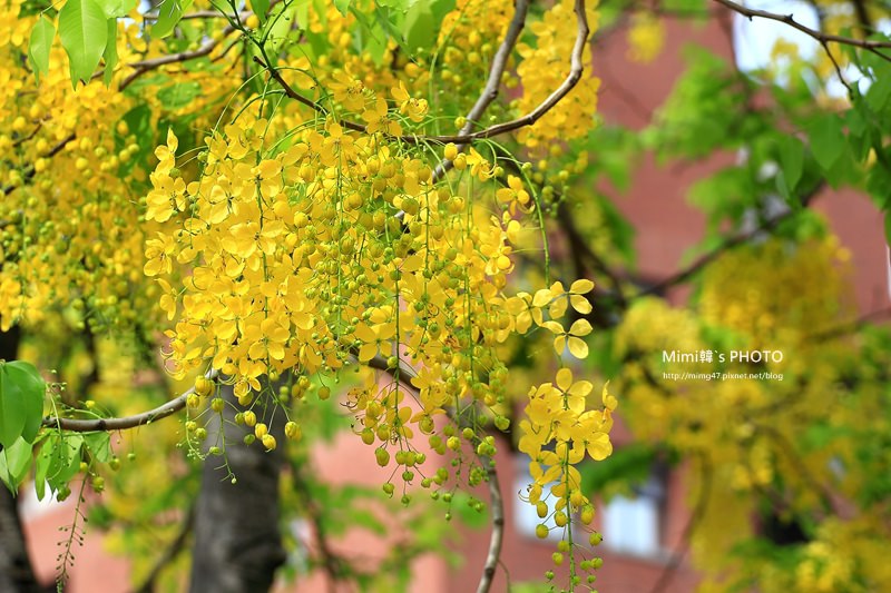 IMG_5095.JPG IMG_5095.JPG