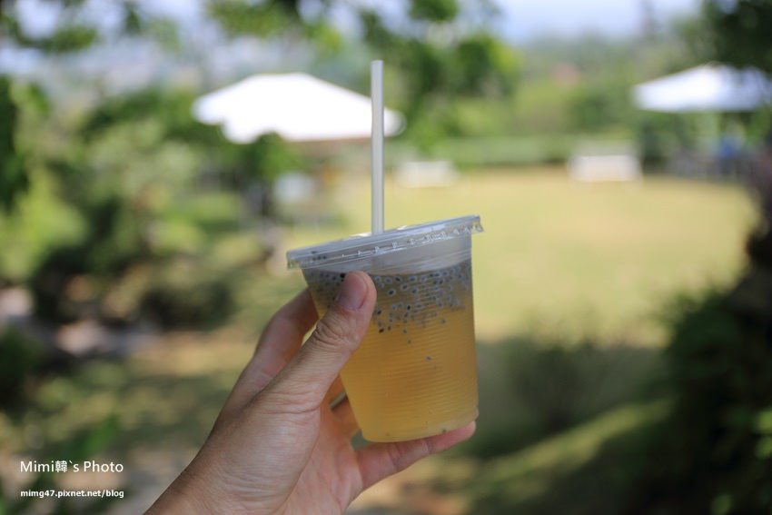 嘉義景點-圓林仔藍花楹油桐花-26.jpg