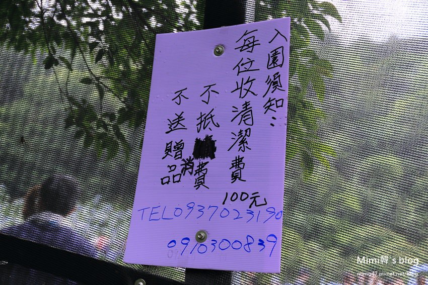 竹子湖繡球花-8.jpg