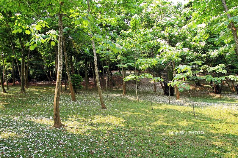 客家大院21.JPG
