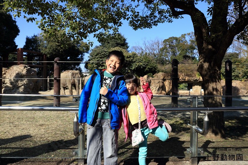 上野動物園-10.jpg