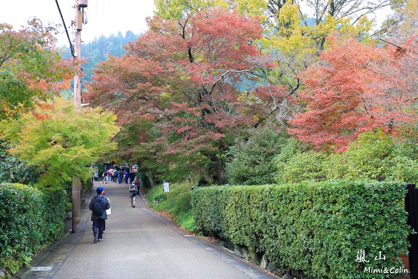 常寂光寺%26;天龍寺-5.jpg
