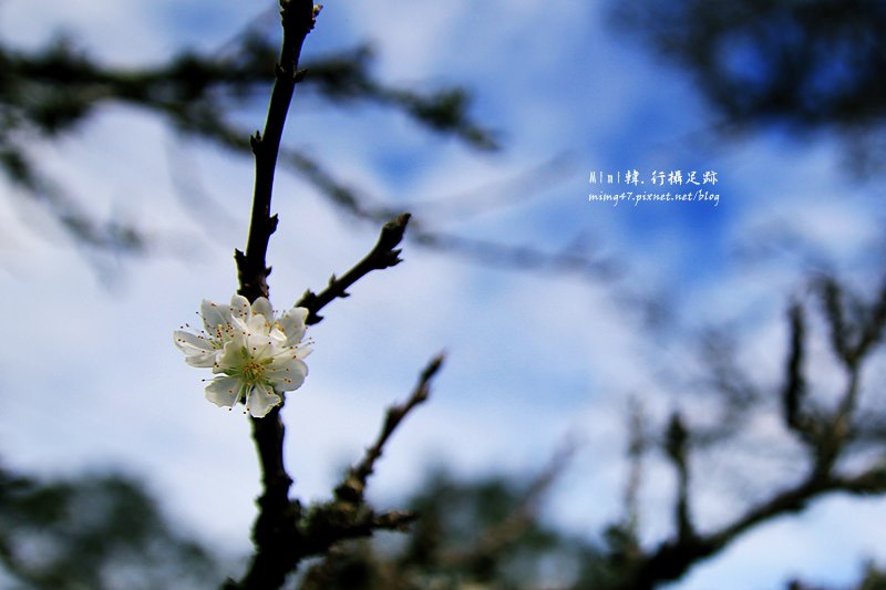 三育基督學院35.JPG