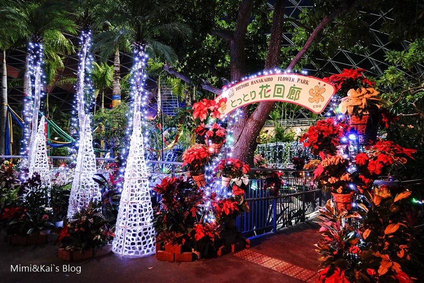 DSC09972.jpg DSC09972.jpg