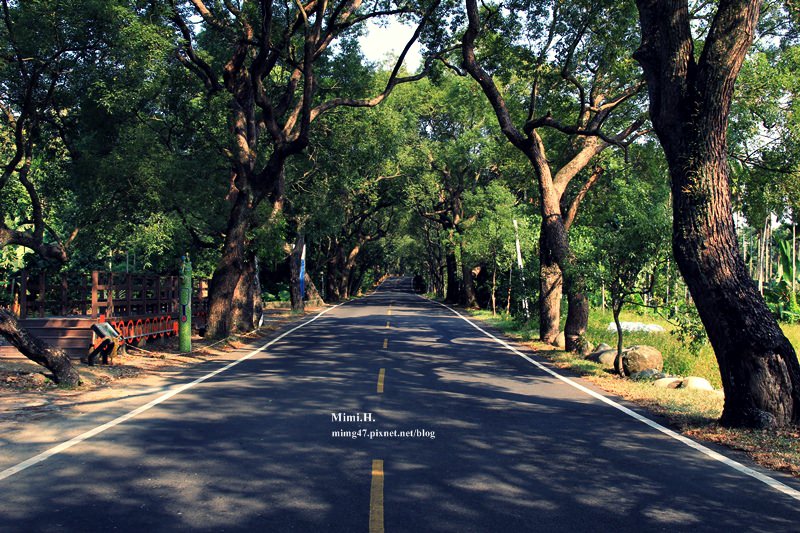 集集綠色隧道1.JPG