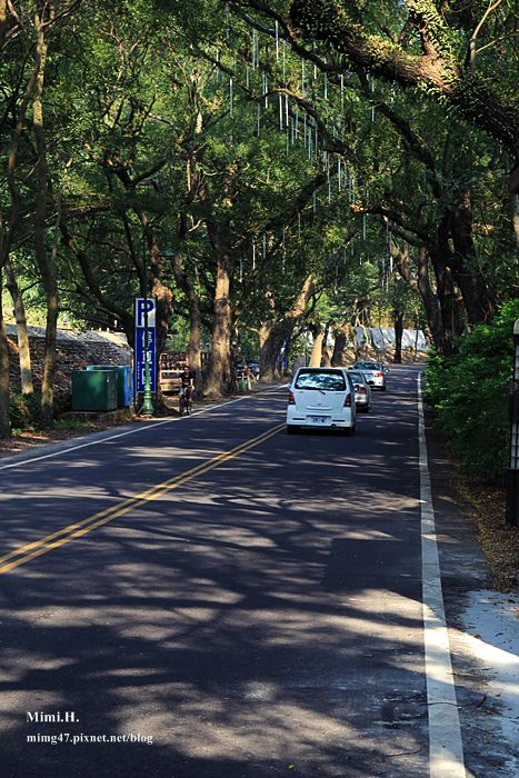集集綠色隧道6.JPG